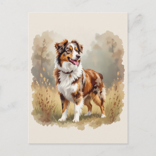 Australian Shepherd Dog Red Merle Aussie Postkarte (Vorderseite)