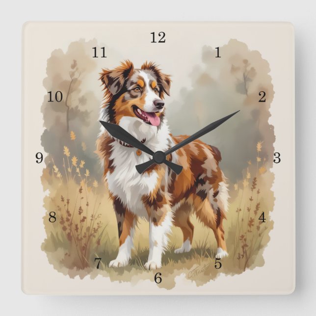 Australian Shepherd Dog Red Merle Aussie Quadratische Wanduhr (Vorderseite)