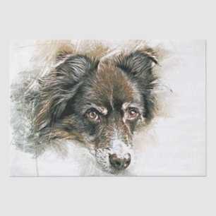 Australian Shepherd Dog Watercolor Seidenpapier