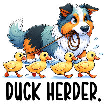 Australian Shepherd Duck Herder