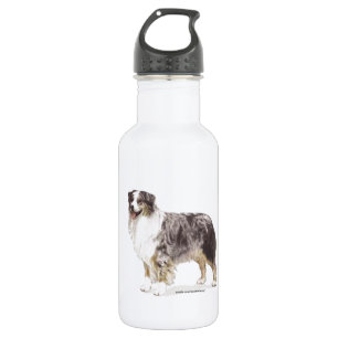 Australian Shepherd Edelstahlflasche