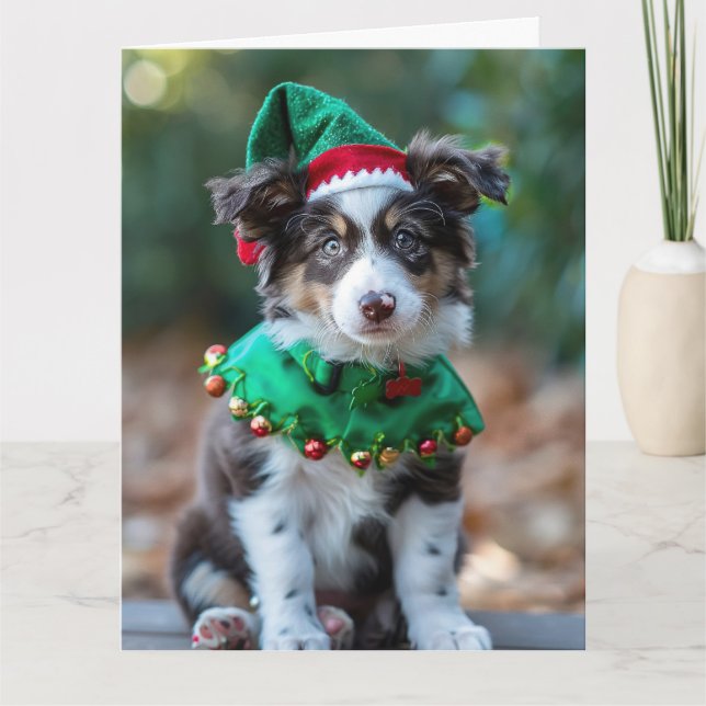 Australian Shepherd Elf Puppy Christmas Card Karte (Vorderseite)