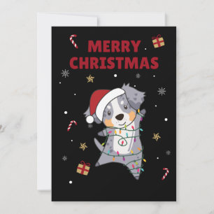 Australian Shepherd Frohe Weihnachten Winter