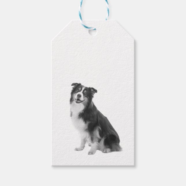 Australian Shepherd Geschenkanhänger (Vorderseite)
