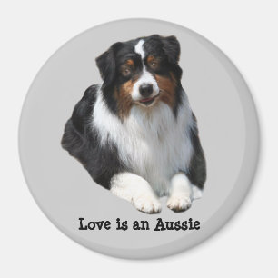 Australian Shepherd Guardian Magnet