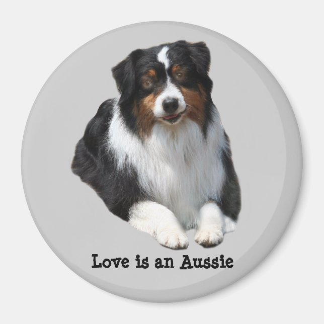 Australian Shepherd Guardian Magnet (Vorne)