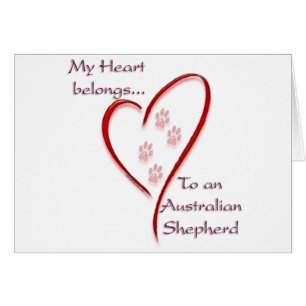 Australian Shepherd Heart Belongs