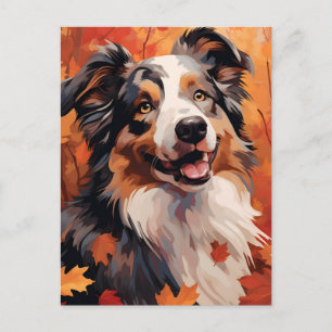 Australian Shepherd Herbst Thanksgiving  Postkarte
