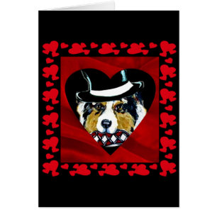 Australian Shepherd Herzen