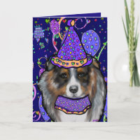 Australian Shepherd