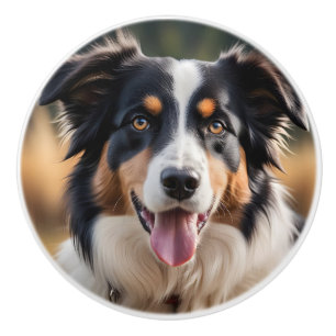 Australian Shepherd Keramik Niedlich Dog Knob Keramikknauf
