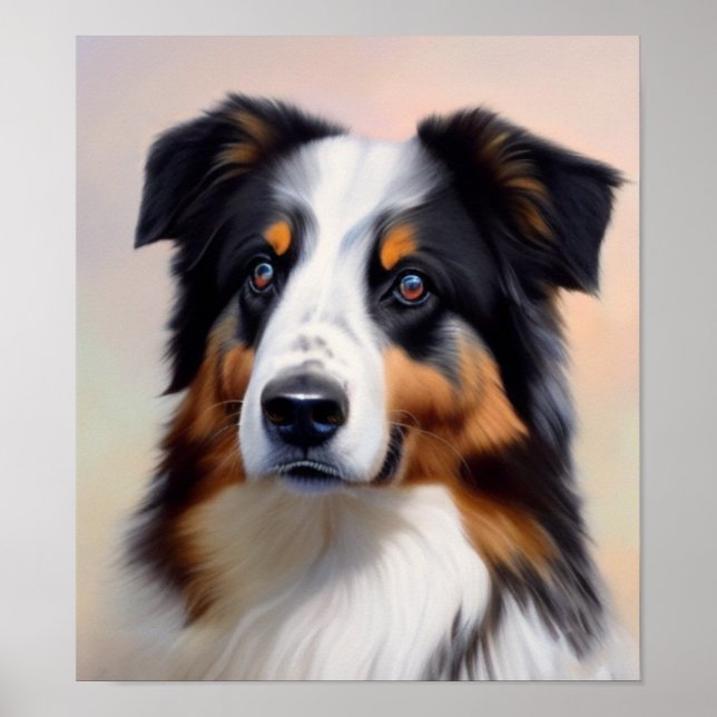 Australian Shepherd Kopf -  Poster (Vorne)