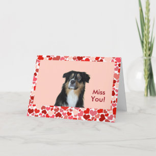 Australian Shepherd Miss You Card Karte