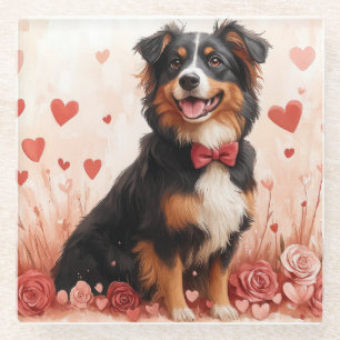 Australian Shepherd mit Rosen - Valentinstag Glasuntersetzer