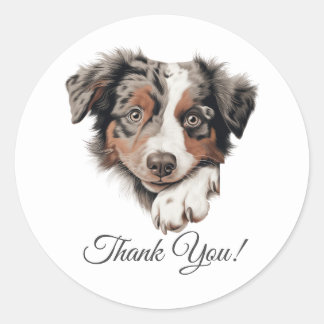 Australian Shepherd Niedlich Dog Vielen Dank Runder Aufkleber