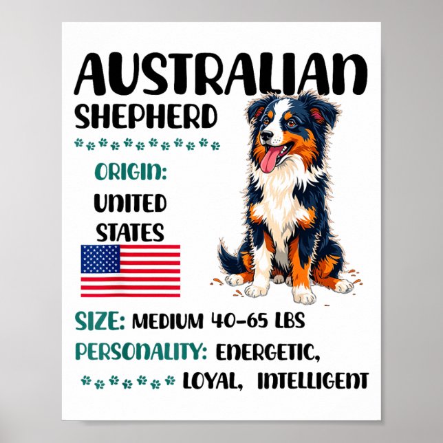 Australian Shepherd Origin Funny Aussie Dog Lover  Poster (Vorne)