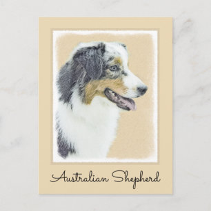 Australian Shepherd Painting - Original Dog Art Postkarte