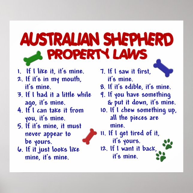 AUSTRALIAN SHEPHERD PL2 POSTER (Vorne)