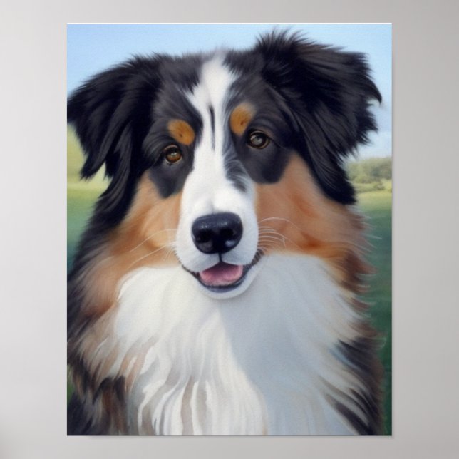 Australian Shepherd Portrait  -  Poster (Vorne)