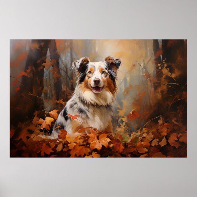 Australian Shepherd Poster (Vorne)