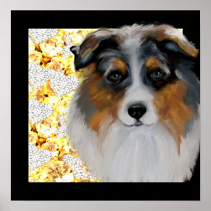 Australian Shepherd Poster