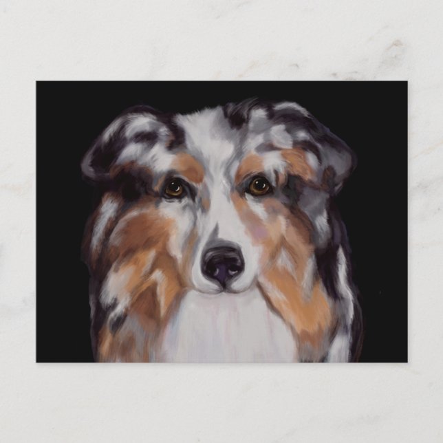 AUSTRALIAN SHEPHERD POSTKARTE (Vorderseite)