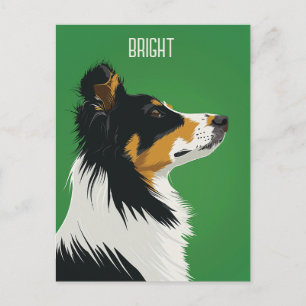 Australian Shepherd Postkarte