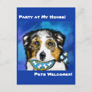 AUSTRALIAN SHEPHERD POSTKARTE