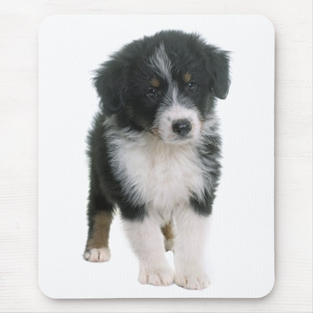 Australian Shepherd Puppy Dog - Aussie Liebe Mousepad (Vorne)