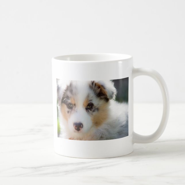 Australian shepherd Puppy Kaffeetasse (Rechts)