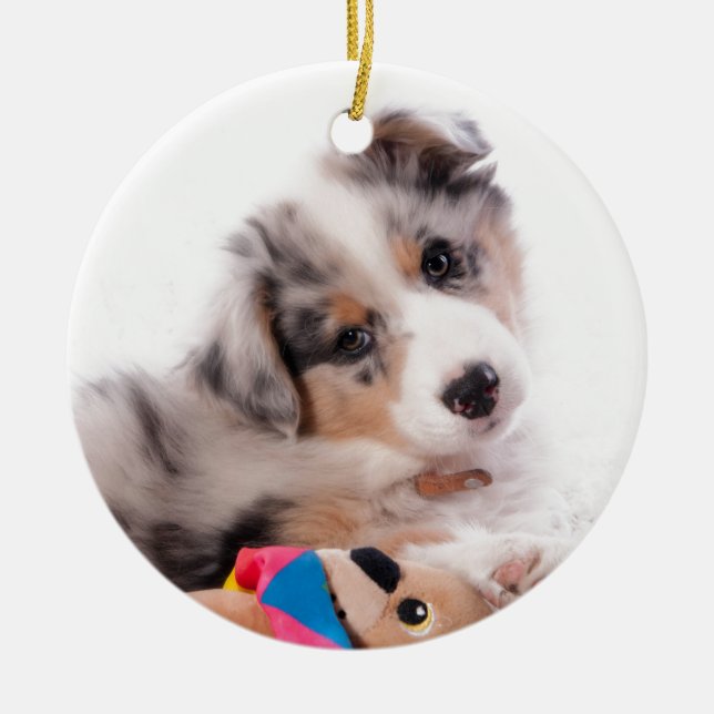 Australian shepherd Puppy Keramikornament (Vorne)