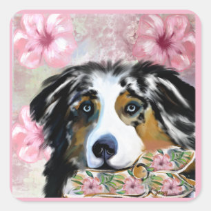 AUSTRALIAN SHEPHERD QUADRATISCHER AUFKLEBER