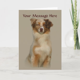 Australian Shepherd Red Greeting Card Karte