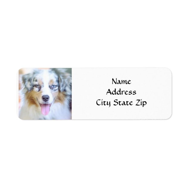 *AUSTRALIAN SHEPHERD* RETURN ADDRESS LABEL (Vorne)