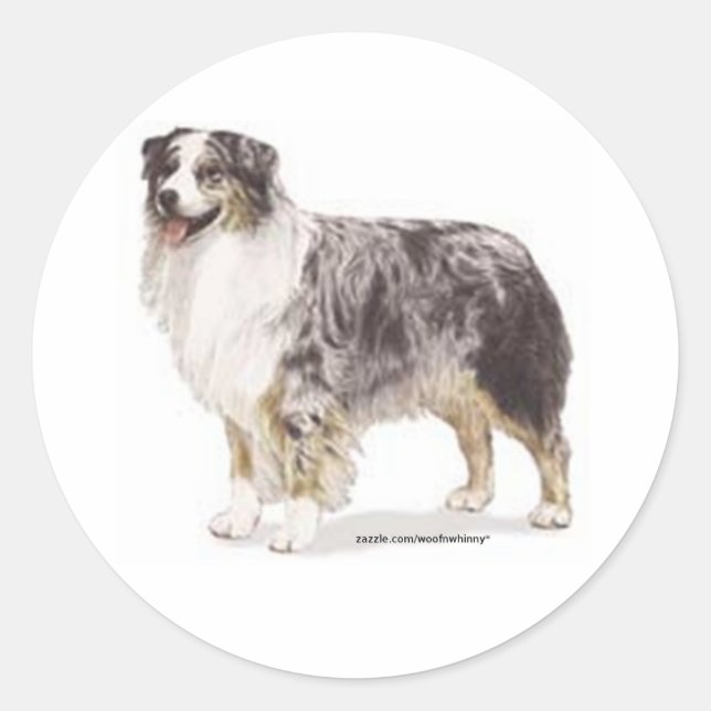 Australian Shepherd Runder Aufkleber (Vorderseite)