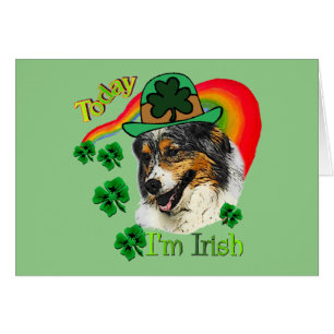 Australian Shepherd St Patricks