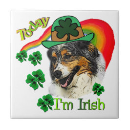 Australian Shepherd St Patricks Fliese