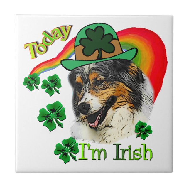 Australian Shepherd St Patricks Fliese (Vorderseite)