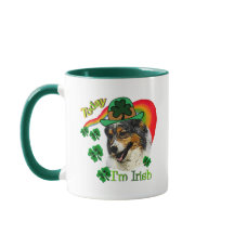 Australian Shepherd St Patricks