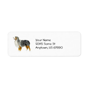 Australian Shepherd Stehend Labels