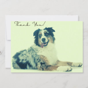 Australian Shepherd Thank You Card Dankeskarte