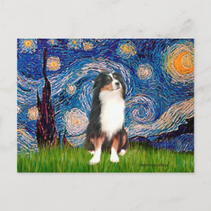 Australian Shepherd (Tri2) - Sternennacht Postkarte