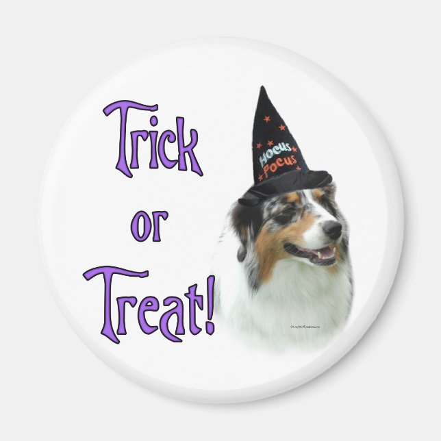 Australian Shepherd Trick Magnet (Vorne)