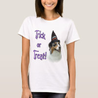 Australian Shepherd Trick