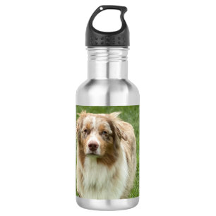 Australian Shepherd Water Bottle Edelstahlflasche