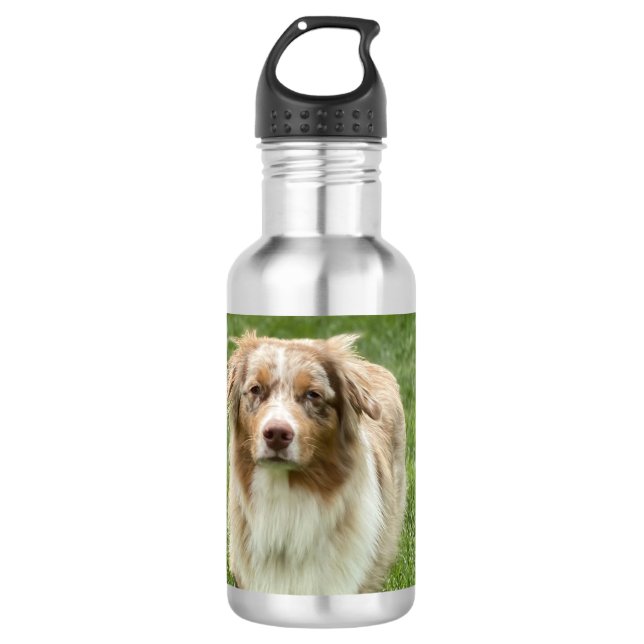 Australian Shepherd Water Bottle Edelstahlflasche (Vorderseite)