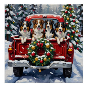 Australian Shepherd Weihnachten Rotes Lastwagen Fe Poster
