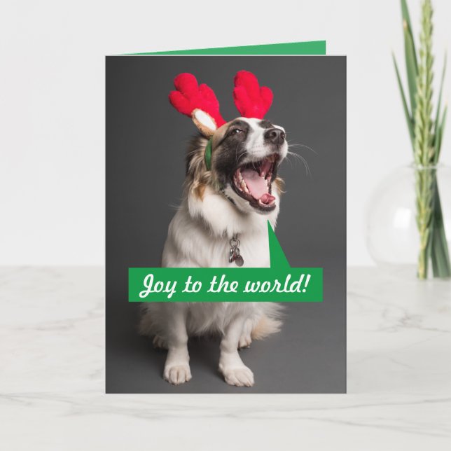 Australian Shepherd Weihnachtskarte singen Feiertagskarte (Vorderseite)