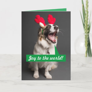 Australian Shepherd Weihnachtskarte singen Feiertagskarte