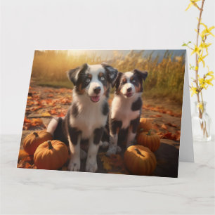 Australian Shepherd Welpe Herbstfreude Kürbis Karte